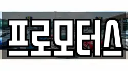 프로모터스