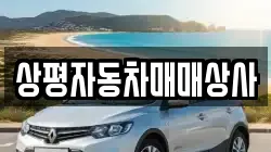 상평자동차매매상사