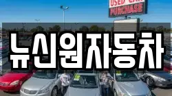 뉴신원자동차