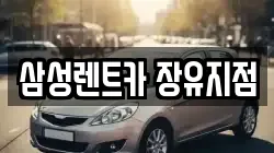 삼성렌트카 장유지점