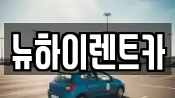 뉴하이렌트카