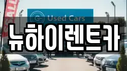 뉴하이렌트카