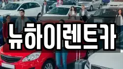뉴하이렌트카