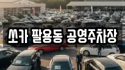 쏘카 팔용동 공영주차장