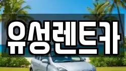 유성렌트카