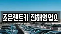 경상남도 창원시 성산구 천선동 렌트카,단기렌트카,장기렌트카,중고차,중고차매매,중고차매입