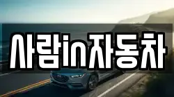 사람in자동차