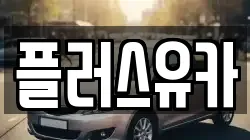 플러스유카