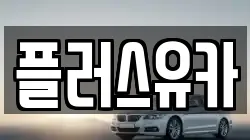플러스유카
