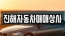 진해자동차매매상사