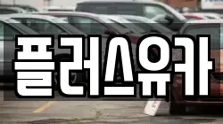 플러스유카
