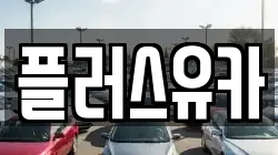 플러스유카