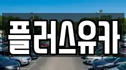 플러스유카