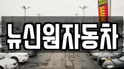 뉴신원자동차