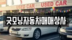 굿모닝자동차매매상사