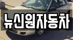 뉴신원자동차