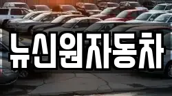 뉴신원자동차