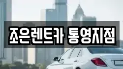 경상남도 통영시 정량동 렌트카,단기렌트카,장기렌트카,중고차,중고차매매,중고차매입