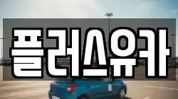 플러스유카