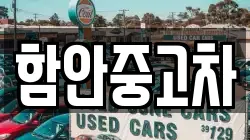 함안중고차