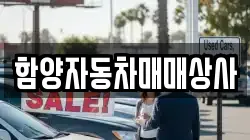 경상남도 함양군 수동면 렌트카,단기렌트카,장기렌트카,중고차,중고차매매,중고차매입