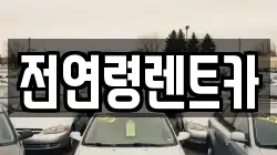 경상북도 경산시 남천면 렌트카,단기렌트카,장기렌트카,중고차,중고차매매,중고차매입