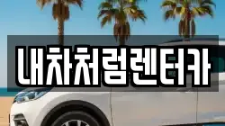 내차처럼렌터카