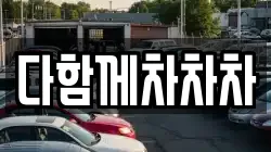 다함께차차차