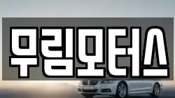 무림모터스