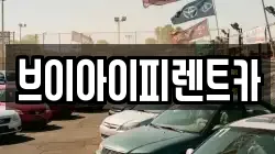 브이아이피렌트카