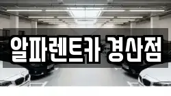 알파렌트카 경산점