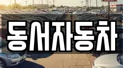 경상북도 경주시 구정동 렌트카,단기렌트카,장기렌트카,중고차,중고차매매,중고차매입