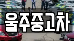 울주중고차