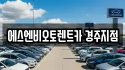 에스엔비오토렌트카 경주지점