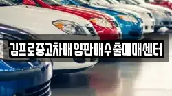 김프로중고차매입판매수출매매센터