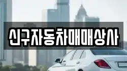 신구자동차매매상사