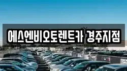 에스엔비오토렌트카 경주지점