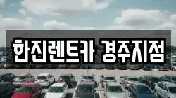 경상북도 경주시 천북면 렌트카,단기렌트카,장기렌트카,중고차,중고차매매,중고차매입