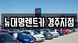 경상북도 경주시 충효동 렌트카,단기렌트카,장기렌트카,중고차,중고차매매,중고차매입