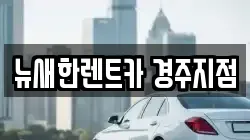 뉴새한렌트카 경주지점
