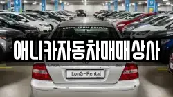 애니카자동차매매상사