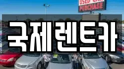 국제렌트카