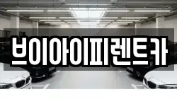 브이아이피렌트카