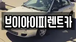 브이아이피렌트카