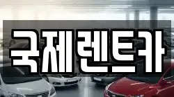 국제렌트카