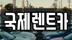 국제렌트카