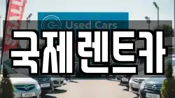 국제렌트카