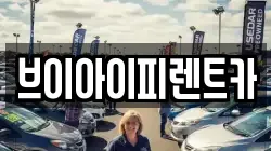 브이아이피렌트카