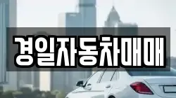 경일자동차매매
