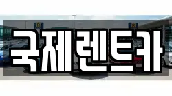 국제렌트카